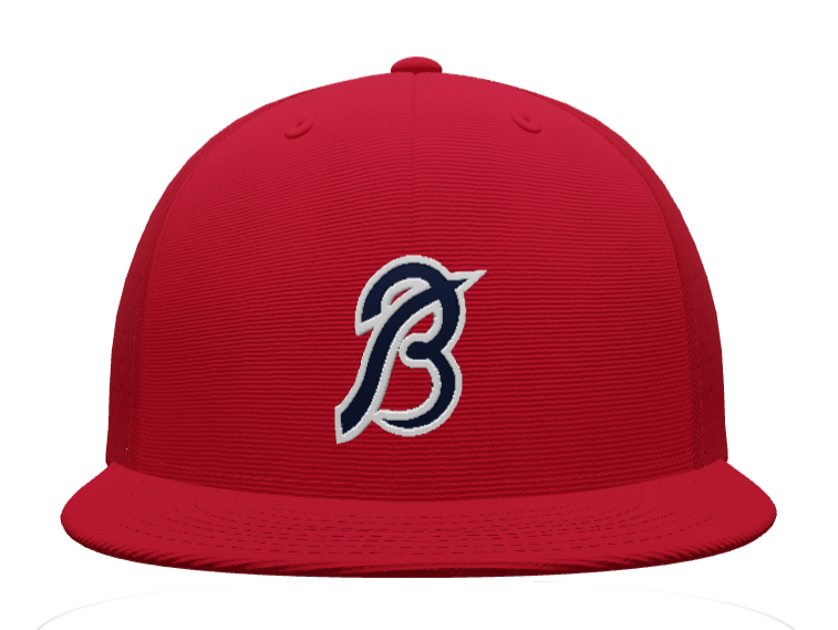 Blast Flat Bill "Navy B"