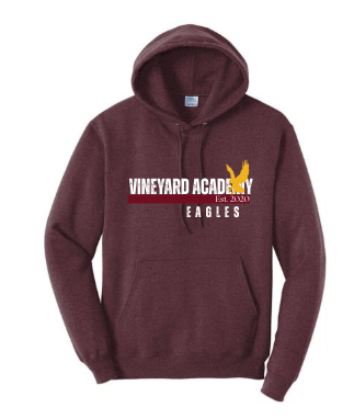 Vineyard Academy Bar Line Vintage Hoodie