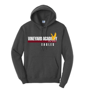Vineyard Academy Bar Line Vintage Hoodie